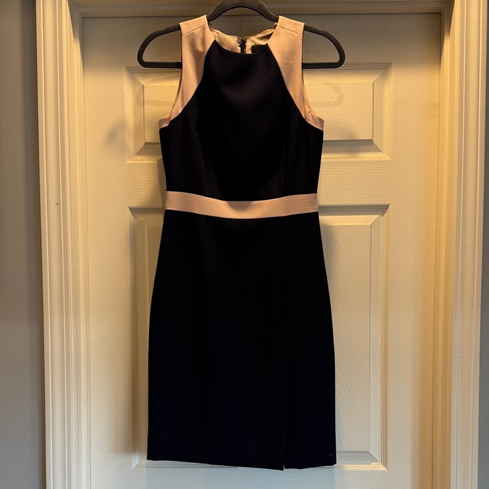 J. Crew Navy and Blush/Cream Dress